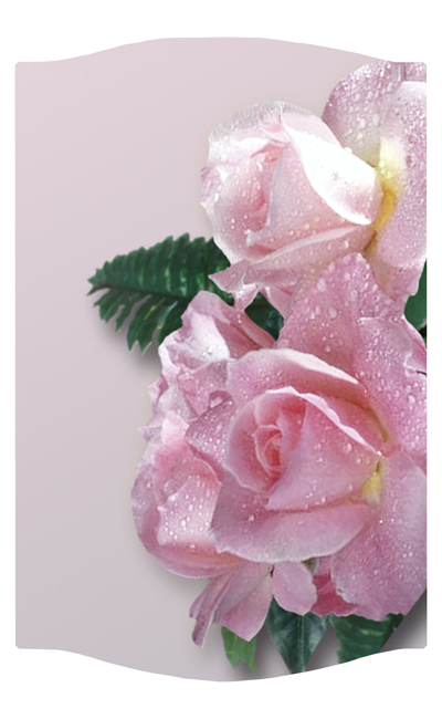 DNSLOG C 063 Bouquet Of Roses Orchid 